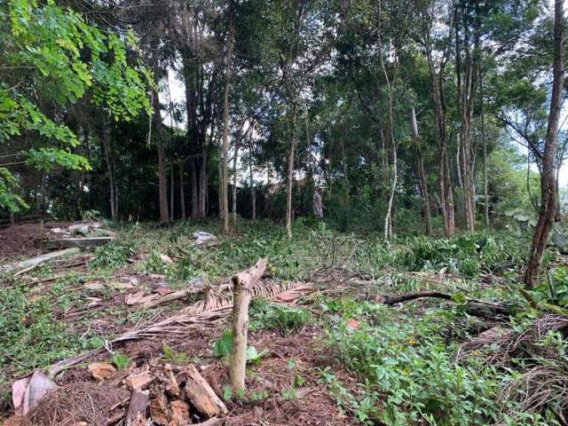 Terreno à venda- Rio Abaixo - Mairiporã/SP