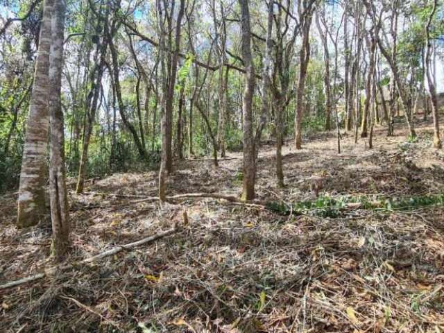 Terreno à venda- Cinco Lagos - Mairiporã-SP