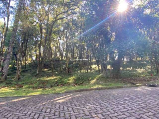 Terreno em condomínio fechado à venda na 01, 3, Parque Pinheiro Grosso, Canela por R$ 590.000