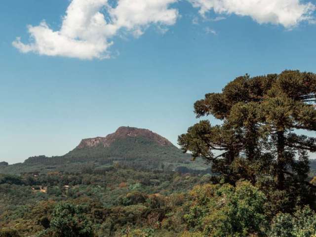 Terreno à venda na Rs 115, 1, Várzea Grande, Gramado por R$ 380.000