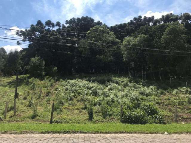 Terreno à venda na Fernando Ferrari, 2, Centro, Canela por R$ 1.500.000