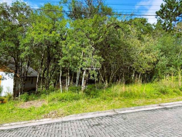 Terreno à venda na Platano/ Rua Pessegueiro, Vivendas do Arvoredo, Gramado por R$ 520.000