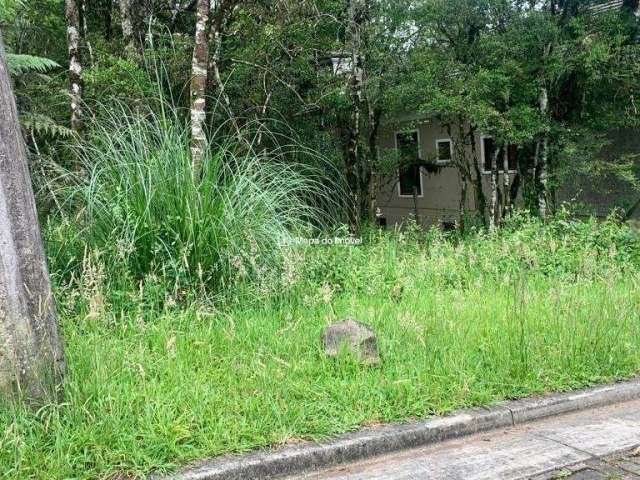 Terreno à venda na Pessegueiro, Vivendas do Arvoredo, Gramado por R$ 490.000