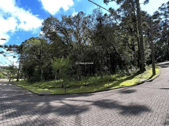 Terreno em condomínio fechado à venda na Rua 1, 1, Parque Pinheiro Grosso, Canela por R$ 750.000