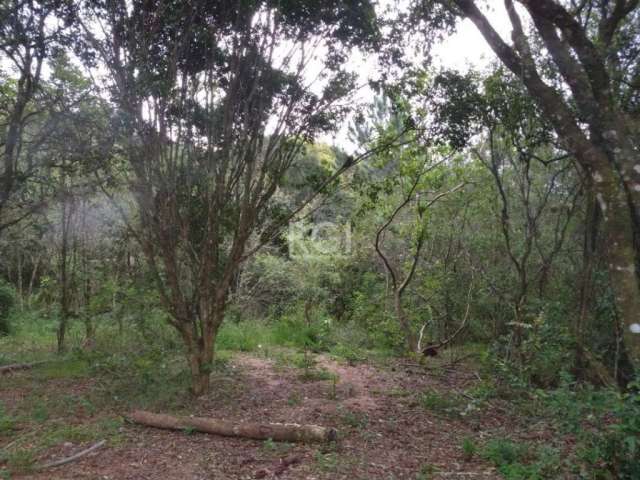 Propriedade constituída de 3 lotes, totalizando uma área de 113.941,76m2 ou 11,3941 ha, localizada no bairro Belém Velho e posicionada entre a avenida Oscar Pereira e a Estrada Afonso Loureiro Mariant