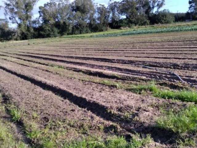 Área  com 4,742 hectares na Av. do Lami, Bairro Belém Novo, Porto Alegre/RS. Terra agricultável, atualmente com culturas da época, o que mantém a área em excelentes condições de conservação. Proprieda