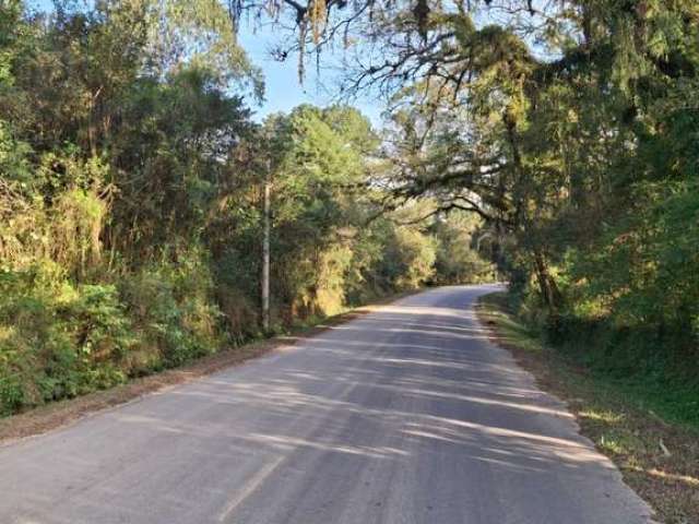 Ótima área de terras tanto para moradia ou investimento de produção de energia solar, ou ate agropecuária, terras planas, acesso todo asfaltado, luz, água, internet,  e com toda documentação em dia. M