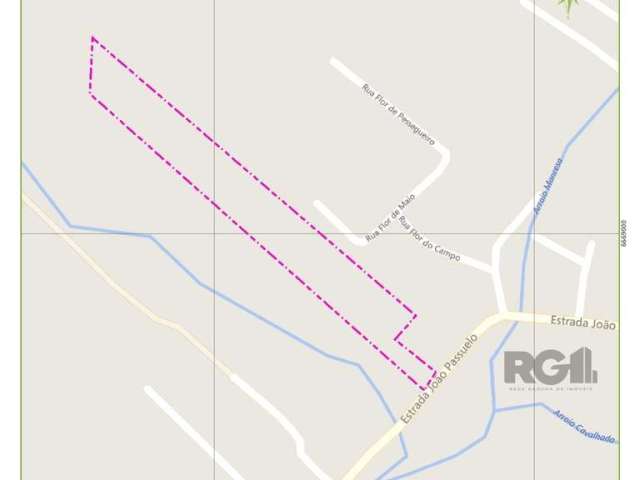 Oportunidade imperdível!&lt;BR&gt;&lt;BR&gt; Esta área de 19.784,6 m² está localizado na Estrada João Passuelo, na  Vila Nova, Zona Sul de Porto Alegre. &lt;BR&gt;Com infraestrutura completa, incluind