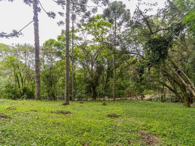 Terreno rua sem saída Santa Felicidade