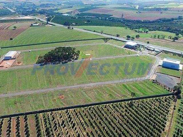 Terreno comercial à venda na Rodovia SP-147, s/nº, Jardim Primavera, Mogi Mirim por R$ 1.051.000