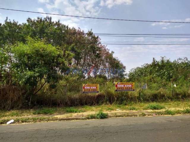 Terreno comercial para alugar na Rua José Lins do Rêgo, s/nº, Parque Alto Taquaral, Campinas por R$ 3.800