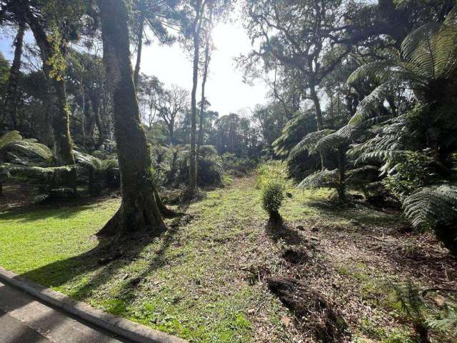 Terreno à venda no Bairro O Bosque com 1135 m² de área privativa