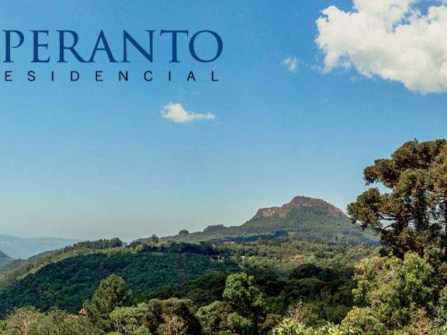 Terreno à venda no Bairro Várzea Grande com 360 m² de área privativa