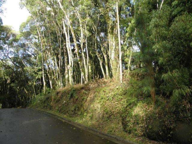 Terreno à venda no Bairro O Bosque