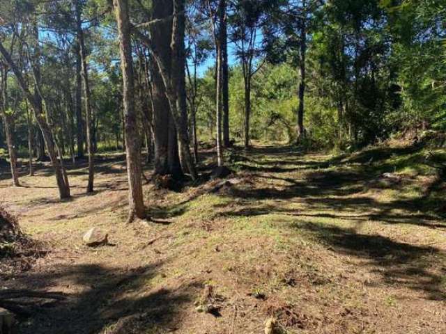 Area de Terra à venda no Bairro Carniel com 14000 m² de área privativa