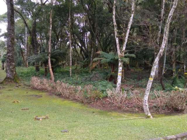 Terreno à venda no Bairro Golf Club com 1351 m² de área privativa