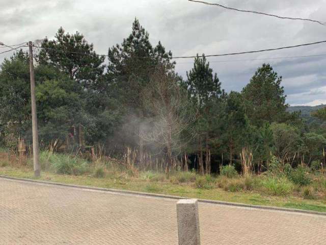 Terreno à venda no Bairro Carniel com 487 m² de área privativa