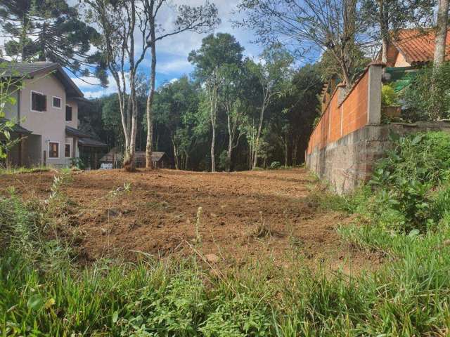 Terreno à venda no Bairro Avenida Central com 600 m² de área privativa