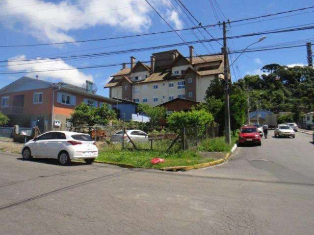 Terreno Comercial à venda no Bairro Floresta com 384 m² de área privativa