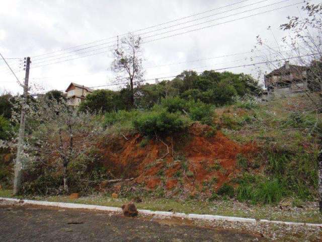 Terreno à venda no Bairro Vale das Colinas com 600 m² de área privativa