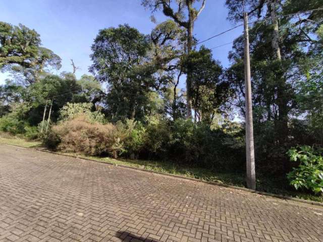 Terreno à venda no Bairro Carniel com 600 m² de área privativa