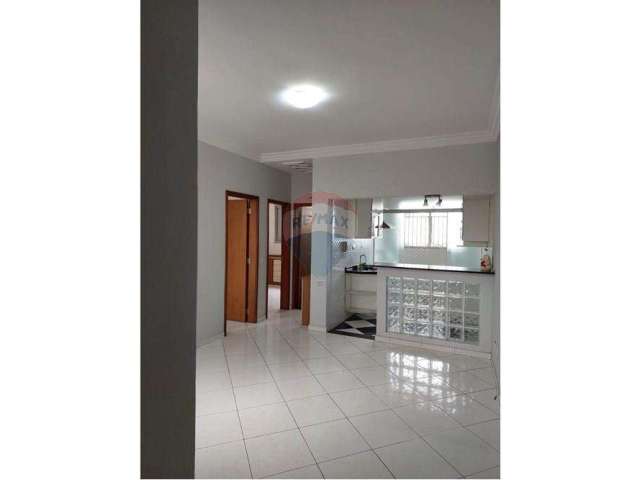 Apartamento 3 dormitórios - preço excelente