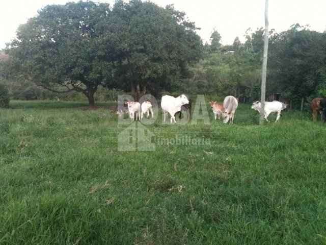 Fazenda para venda com 8 alq. e 2 quartos em PARQUE FERRADURA MIRIM, Bauru - SP