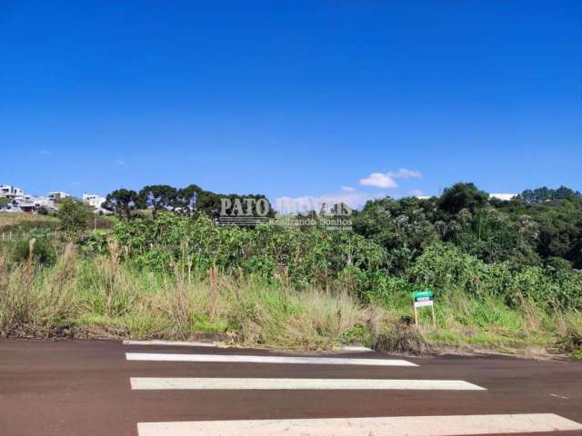 Terreno para Venda em Pato Branco, São Luiz