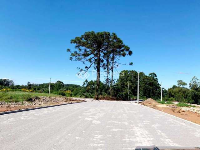 TERRENO URBANO Á VENDA EM GARIBALDI/RS, Alfândega, Garibaldi - RS