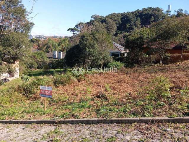 TERRENO A VENDA EM GARIBALDI, Cairu, Garibaldi - RS