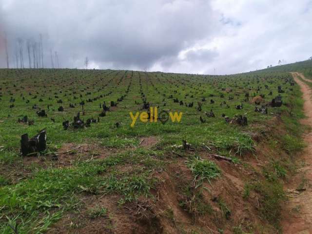 Terreno Residencial em Pouso Alegre  -  Santa Isabel