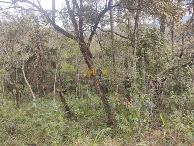 Chacara em Estância São Domingos  -  Santa Isabel