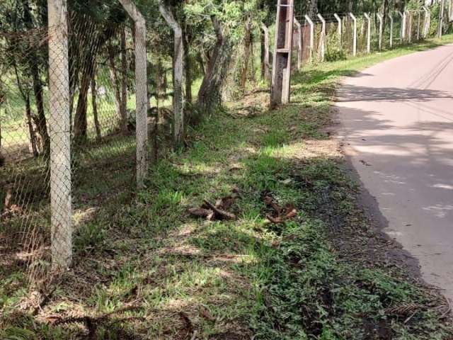 Linda chácara em palmitalzinho quatro barras -pr