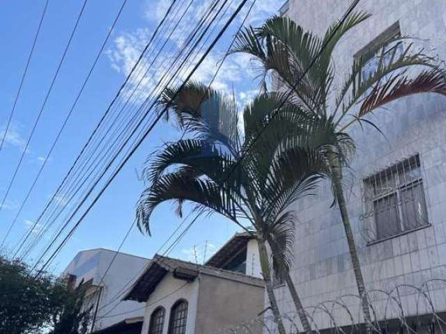 Cobertura para Venda em Belo Horizonte, Alto Barroca, 3 dormitórios, 3 banheiros, 2 vagas