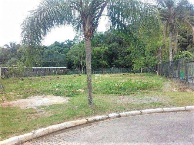 Terreno à venda, 1112 m² por R$ 1.500.000,00 - Pernambuco II - Guarujá/SP