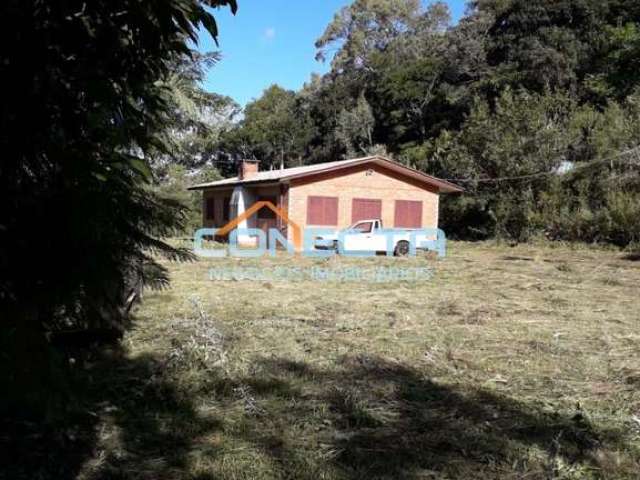 Chácara / sítio com 4 quartos à venda no Morro Gaúcho, Vale Real , 42000 m2 por R$ 350.000