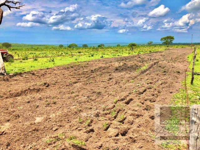 Fazenda à venda, 10210000 m² por R$ 16.000.000,00 - Centro - Alto Araguaia/MT