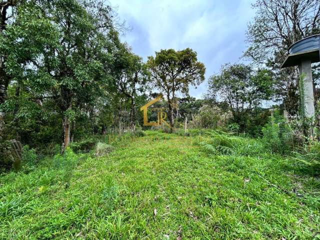 Área CAMPO ALTO Tijucas do Sul