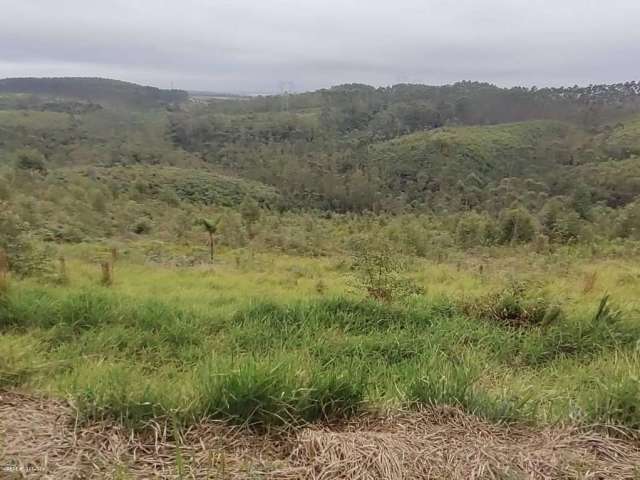 Área para Venda em Suzano, QUINTA DIVISÃO