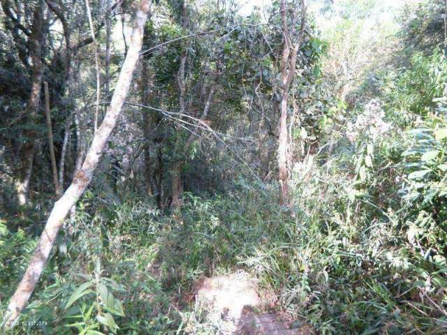 Terreno para Venda em Suzano, Vale da Serra