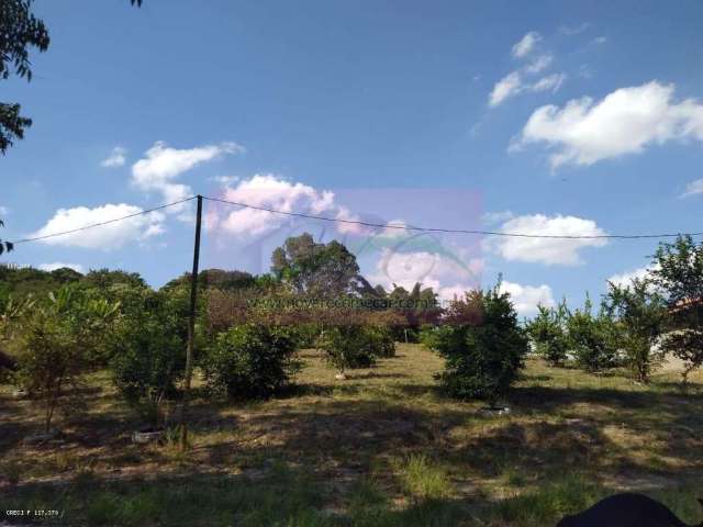 Sítio para Venda em Piracicaba, Anhumas, 2 dormitórios, 1 banheiro, 10 vagas