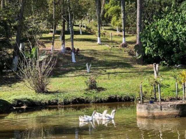 Chácara para Venda em Ribeirão Pires, Pouso Alegre, 3 dormitórios, 2 suítes, 3 banheiros, 6 vagas