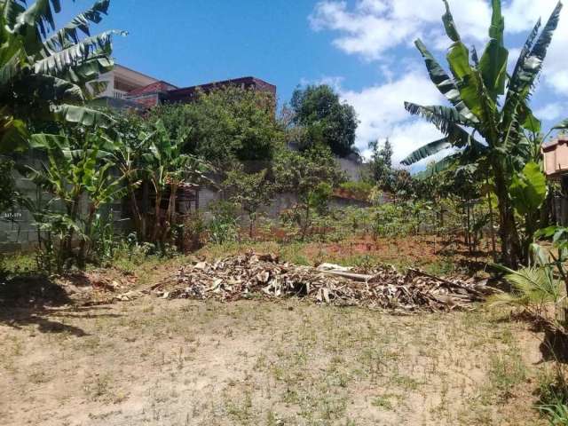 Terreno para Venda em Suzano, Jardim São Luis