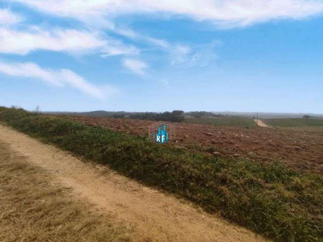 Terreno área rural 11.691,60mts quadrados Colônia Malhada São Jose dos Pinhais-PR