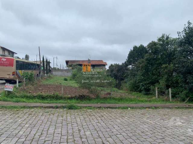 Terreno à venda na Rua Dante Fadanelli, 109, Esplanada, Caxias do Sul por R$ 370.000