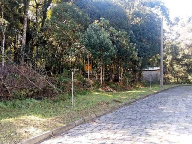 Terreno à venda na Rua Adolpho Libardi, 11, São Virgílio, Caxias do Sul por R$ 2.200.000