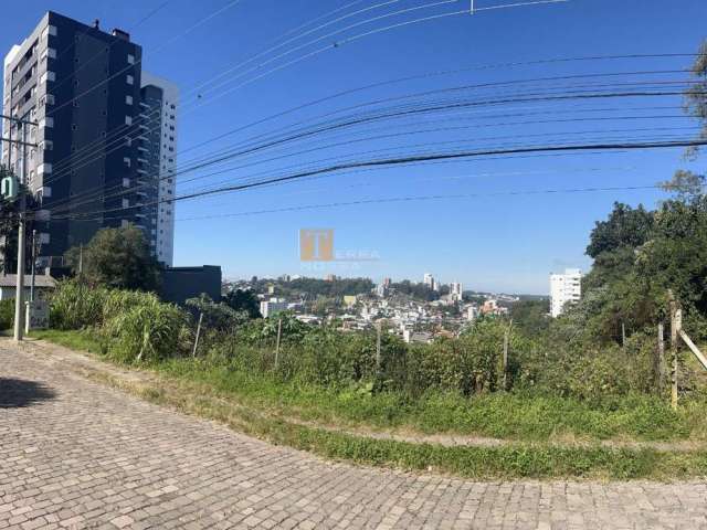 Terreno à venda na Rua Pedro Pezzi, 1236, Panazzolo, Caxias do Sul por R$ 2.500.000