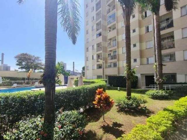 Apartamento no jaguare -3 dormitorios com 2 vagas- fl52