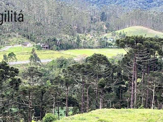 Terreno Ideal para Sítio à Venda em Doutor Pedrinho/SC