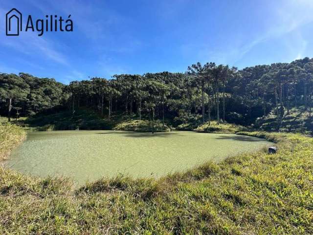 Sítio nas montanhas à venda  em Rodeio/sc